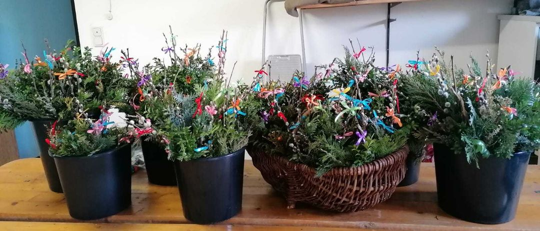 Bild enthält, Helmet, Plant, Potted Plant, Floor, Window, Windowsill