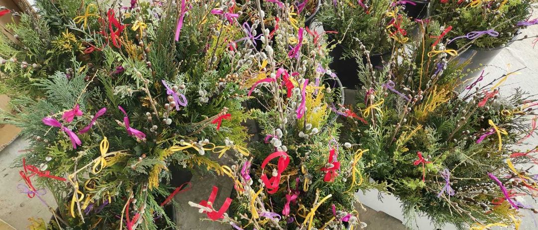 Bild enthält, Plant, Vegetation, Bush, Herbal, Herbs