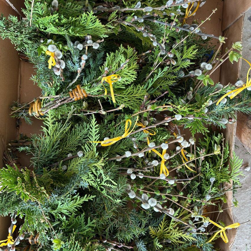 Ein brauner Karton gefüllt mit verschiedenen grünen und gelben Pflanzenzweigen, darunter auch gelbe Bänder um einige Zweige gebunden.