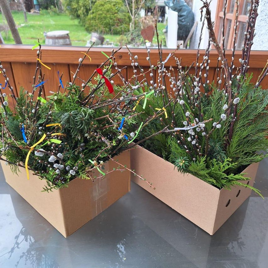 Zwei braune Kartons mit Pflanzen auf einem Tisch, einer mit bunten Bändern und der andere mit weißen Blumen.