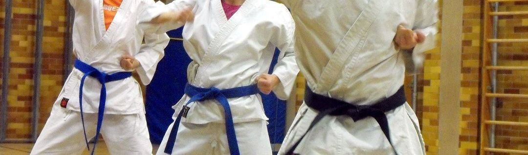 Drei Personen in Kampfsportuniformen üben zusammen. Zwei tragen blaue Gürtel und einer einen schwarzen Gürtel. Sie befinden sich in einem Indoor-Dojo.