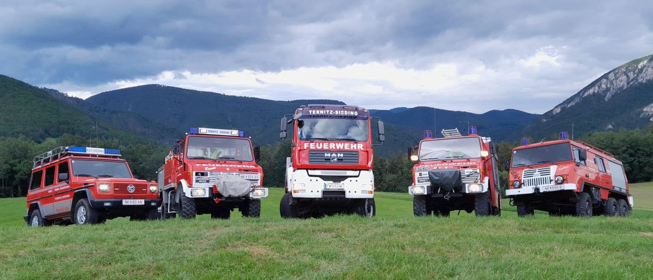 Vier rote Feuerwehrfahrzeuge sind auf einer Wiese mit Bergen im Hintergrund geparkt. Die Fahrzeuge haben das Wort 'Feuerwehr' auf der Vorderseite geschrieben.