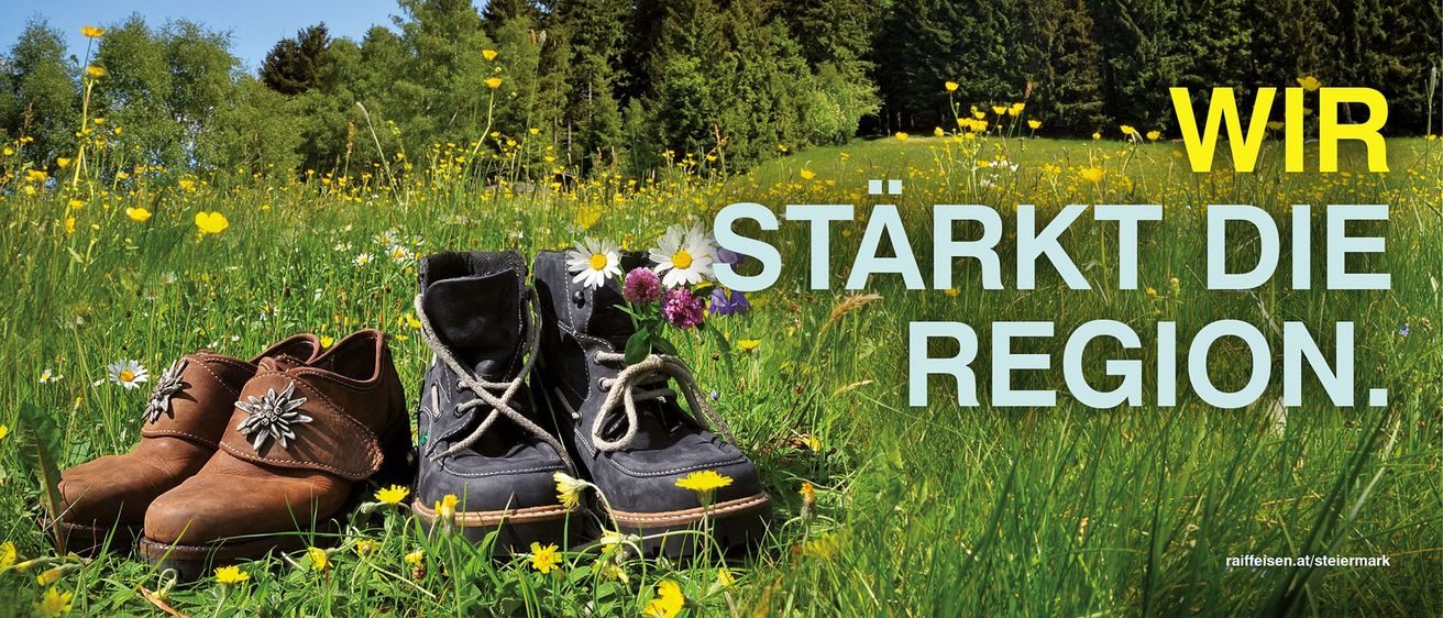 Bild enthält, Shoe, Grass, Field, Grassland, Nature, Outdoors, Sneaker, Vegetation, Tree, Woodland