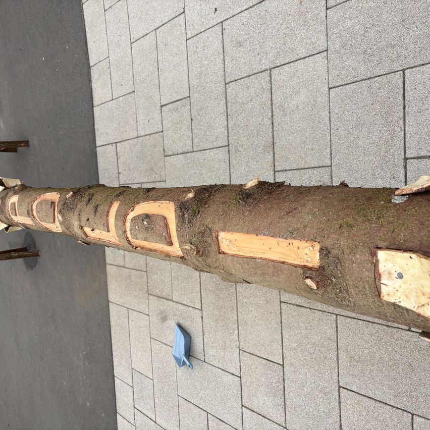 Ein langer, rauer Baumstamm liegt auf einem gefliesten Boden mit mehreren geschnitzten Abschnitten und kleinen Holzstücken. Daneben liegt ein blauer Gegenstand.