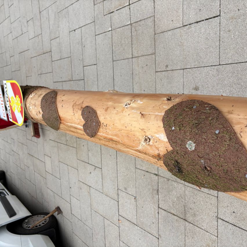 Ein hölzerner Pfosten auf einem Ziegelboden mit Moosflecken und kleinen Löchern. Auf der linken Seite befindet sich ein gelbes Schild mit roten Schriftzeichen.