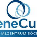 SeneCura Sozialzentrum Söchau, Haus Kamille GmbH-Logo
