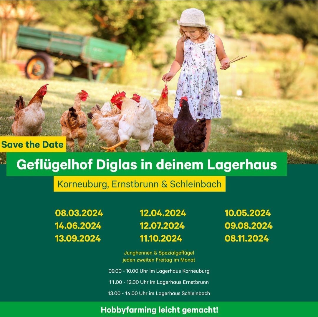 Bild enthält, Advertisement, Poster, Animal, Chicken, Poultry, Child, Female, Girl, Person, Wheel