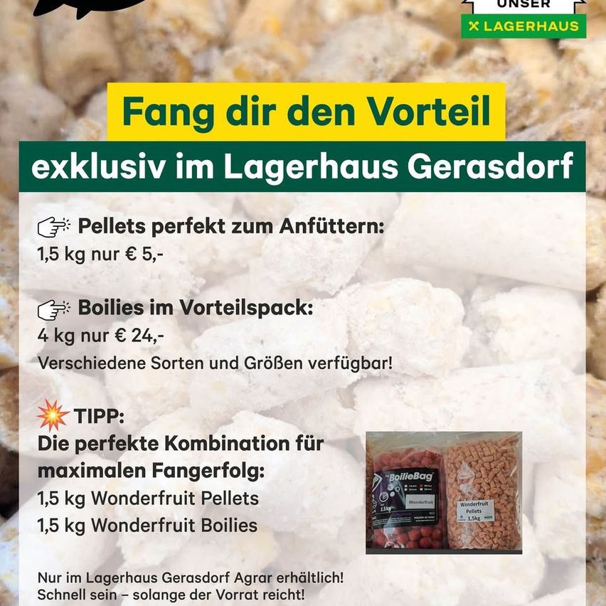 Werbeplakat für exklusive Angelköderprodukte im Lagerhaus Gerasdorf. Es hebt Pellets für 5 € pro 1,5 kg und Boilies für 24 € pro 4 kg hervor, mit einem Tipp für eine perfekte Kombination. Ein Bild der Produkte ist ebenfalls zu sehen.