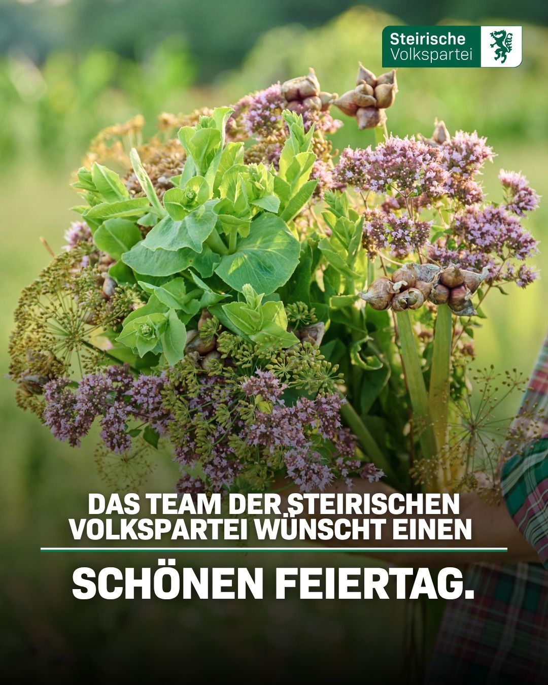 A person holding a bouquet of various green herbs and flowers with a blurry green background and text in German below.