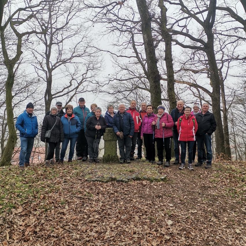 Bild enthält, Vegetation, Land, Tree, Woodland, Grove, Grass, Park, Coat, Jacket, People