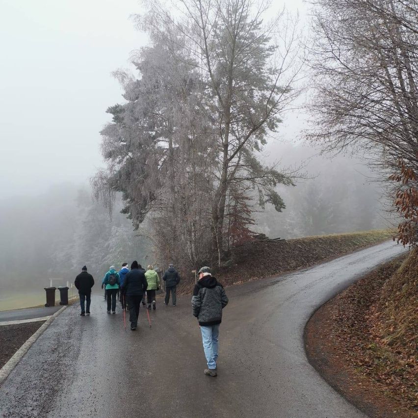 Eine Gruppe von Wanderern geht auf einem nebligen Weg, mit Bäumen auf beiden Seiten. Eine Person geht allein vorne.