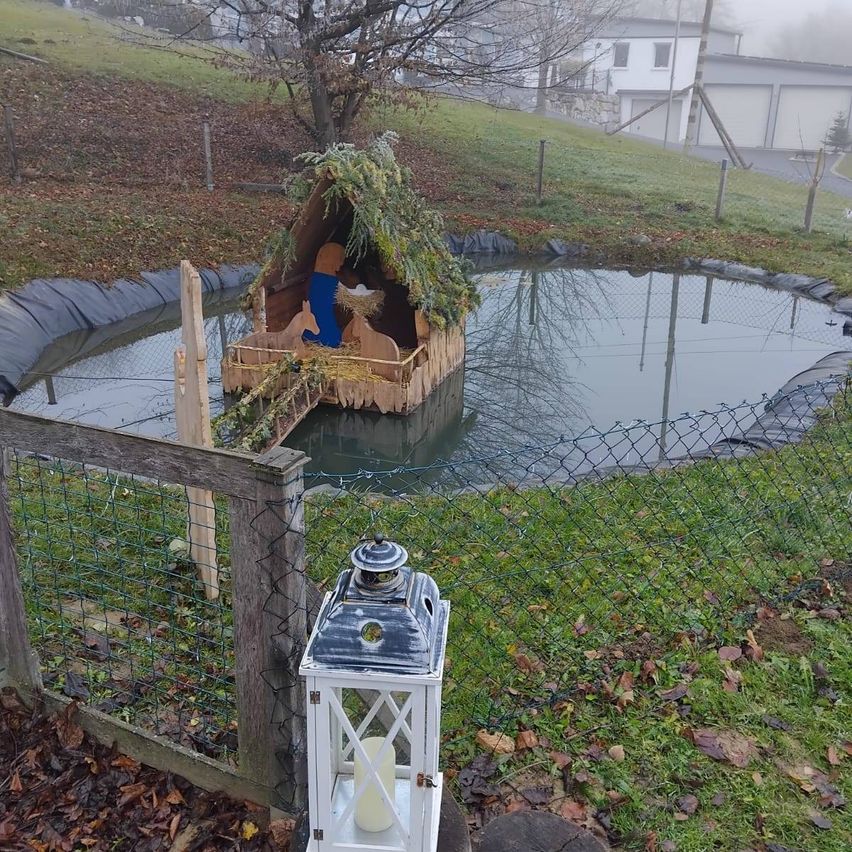 Eine aus Holz gefertigte Krippe schwimmt in einem Teich, bedeckt mit Grün. Ein weißer Laternen mit einer Kerze steht in der Nähe, mit einem Zaun um den Teich. Ein Haus und eine Garage sind im Hintergrund.