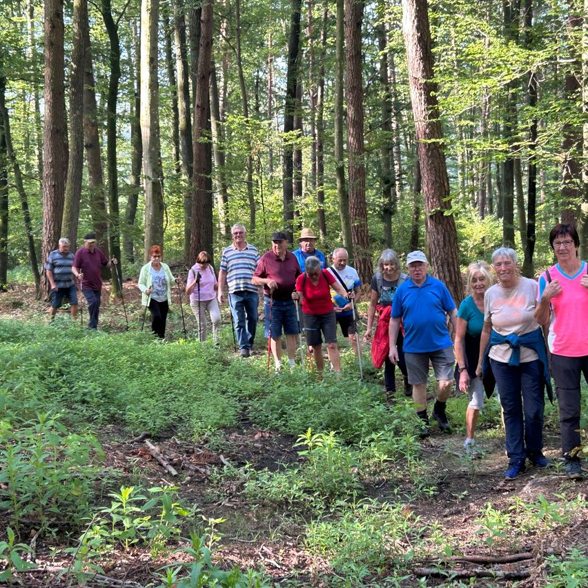 Eine Gruppe älterer Menschen wandert im Wald, einige mit Stöcken, in Freizeitkleidung.