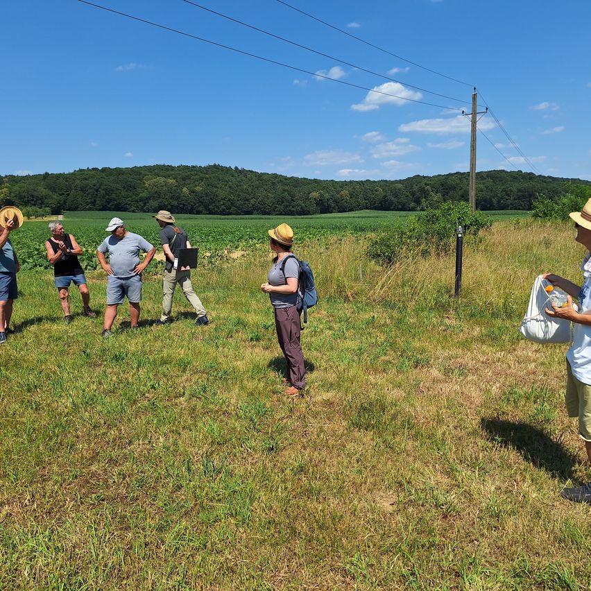 Eine Gruppe von Menschen steht auf einem Feld unter einem blauen Himmel, einer Person hält einen Beutel. Bäume und ein Pfahl sind in der Ferne sichtbar.