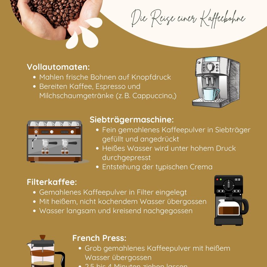 Ein Infografik zeigt verschiedene Kaffeemaschinen und deren Zubereitungsmethoden. Vollautomatische Maschinen mahlen Bohnen und bereiten Kaffee, Espresso und Milchgetränke zu. Eine Siebträgermaschine verwendet fein gemahlenes Kaffeepulver und heißes Wasser unter hohem Druck, um die typische Crema zu erzeugen. Eine Filtermaschine beinhaltet das Platzieren von Kaffeepulver in einem Filter, das Übergießen mit heißem, aber nicht kochendem Wasser und dann langsames Nachgießen von Wasser. Eine French Press verwendet grob gemahlenes Kaffeepulver, heißes Wasser und lässt 3,5 bis 4 Minuten ziehen.