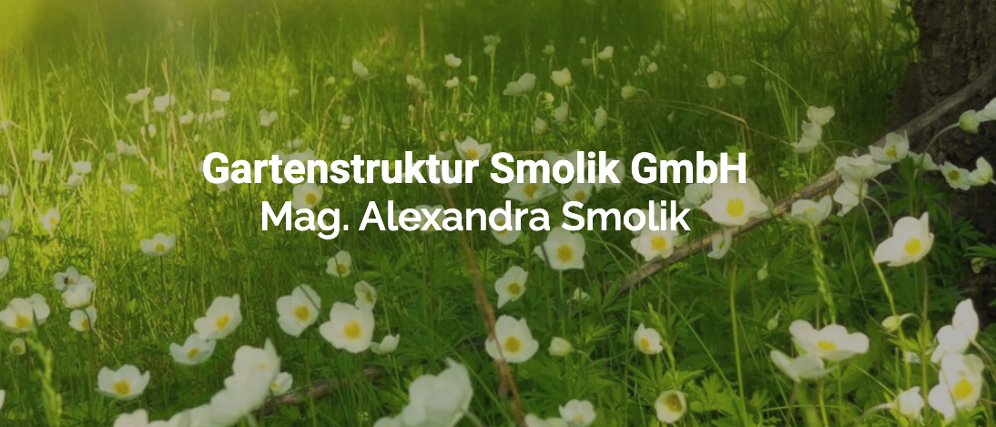 Bild enthält, Anemone, Flower, Plant, Vegetation, Petal, Grass, Field, Grassland, Outdoors, Daisy