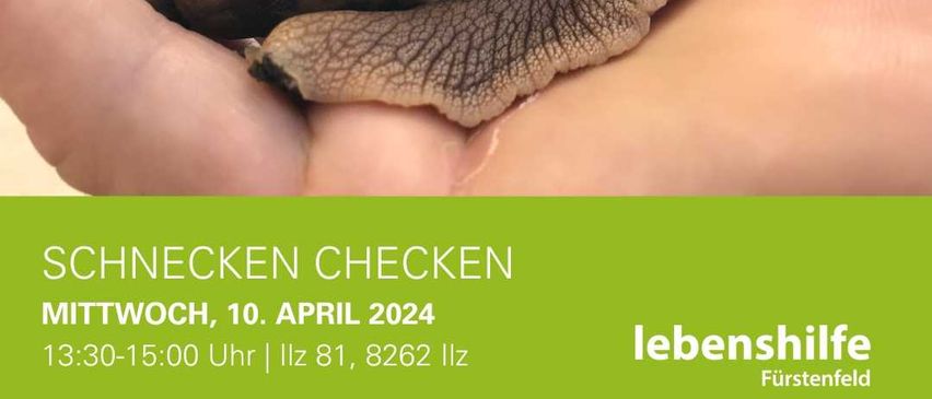 Bild enthält, Animal, Insect, Invertebrate, Snail, Person, Face, Head