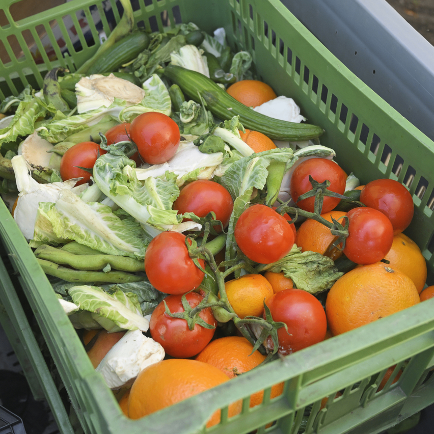 Ein grüner Korb voller Gemüse und Früchte. Tomaten, Salat, Gurken und Orangen sind sichtbar. Einige sind reif und einige scheinen sich in verschiedenen Stadien der Verwesung zu befinden.
