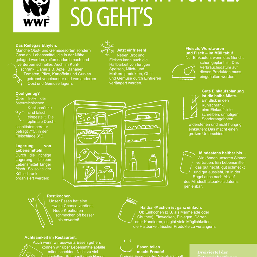 Ein Kühlschrank-Infografik erklärt, wie man Lebensmittelverschwendung minimiert. Es empfiehlt, den Kühlschrank auf 3°C zu halten, eine Kühltasche für Einkäufe zu verwenden und Lebensmittel richtig zu organisieren. Es schlägt auch vor, eine Einkaufsliste zu erstellen, Verfallsdaten zu notieren und verderbliche Lebensmittel zuerst zu konsumieren.