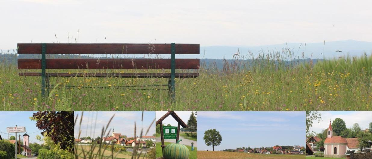 Ein grasbewachsenes Feld mit einer Bank und fernen Hügeln. Eingefügte Bilder zeigen ein Dorf, eine große Wassermelone und einen Baum auf einem Feld.