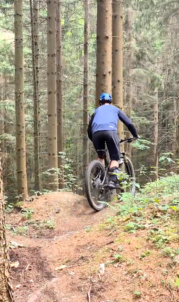 Eine Person fährt mit einem Mountainbike auf einem Pfad im Wald. Der Fahrer trägt einen blauen Helm und Fahrradausrüstung.