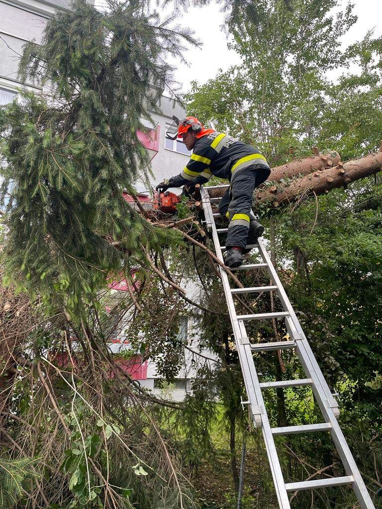 Ein Feuerwehrmann schneidet mit einer Kettensäge eine Baumzweige ab, die von einem Baum herabhängt, in der Nähe eines Gebäudes. Er steht auf einer Leiter.