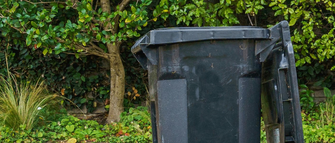 A black trash can on a sidewalk, with a green sign reading 'Restmüll Fehlwürfe unbedingt vermeiden' against a backdrop of trees and greenery.