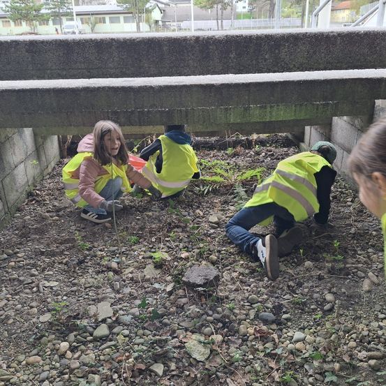 Drei Kinder in gelben Westen arbeiten unter einer Brücke, eines hält ein kleines Objekt. Ein Kind trägt Turnschuhe, ein anderes einen Helm. Bäume und Gebäude sind im Hintergrund.