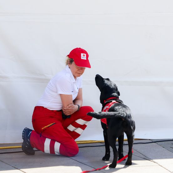 Eine Frau in roten Hosen und einer roten Mütze krault einen schwarzen Hund mit rotem Geschirr auf einem Bürgersteig.