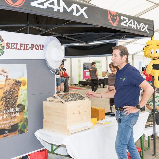 Ein Mann in einem blauen Shirt erklärt etwas über einen Bienenstock an einem Stand. Dahinter befindet sich ein Poster mit einer Biene und einer Biene aus Stoff auf der rechten Seite.