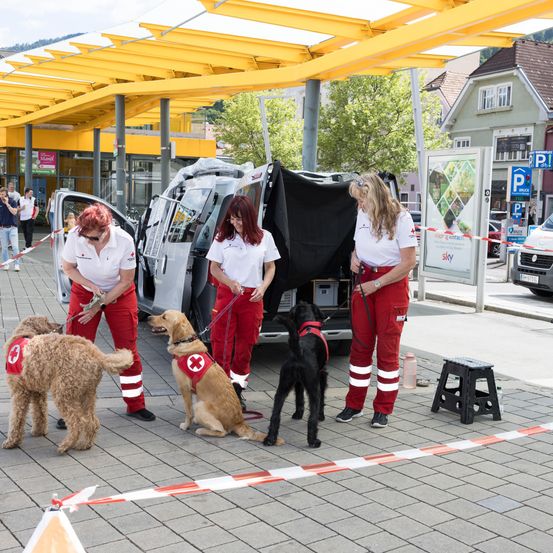 Drei Frauen mit roten Hosen und weißen Hemden stehen mit zwei Hunden, die rote Kreuze tragen. Sie scheinen sich auf eine Veranstaltung in einem Fußgängerbereich vorzubereiten.