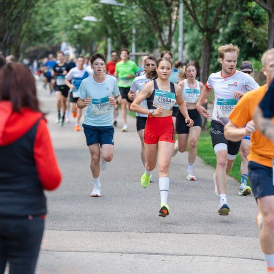 Eine Gruppe von Läufern nimmt an einem Marathon teil, trägt nummerierte Startnummern und wird von Bäumen und Zuschauern im Hintergrund begleitet.