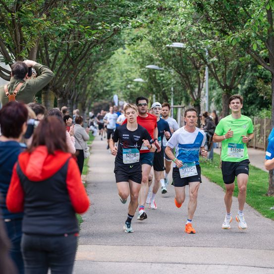Marathonteilnehmer laufen auf einem von Bäumen gesäumten Weg, während Zuschauer an der Seite zusehen. Bäume und Straßenlaternen säumen den Weg.