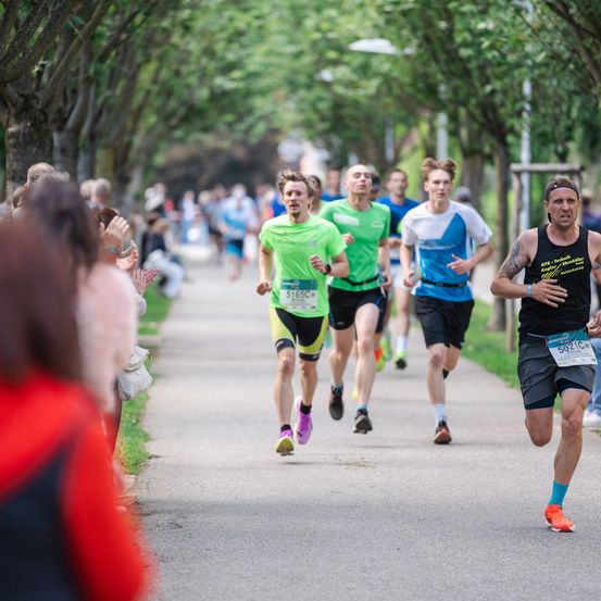Läufer in verschiedenen Farben konkurrieren in einem Marathon auf einem von Bäumen gesäumten Weg. Zuschauer jubeln ihnen zu.