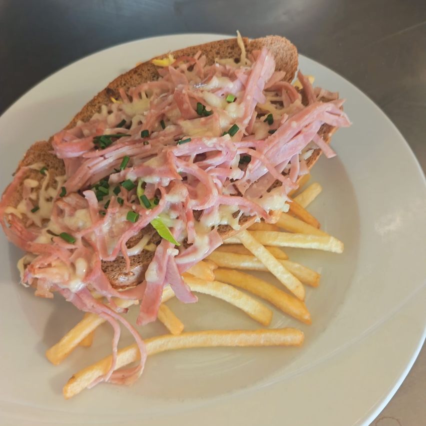 Ein Sandwich mit Schinken und Käse, garniert mit grünen Zwiebeln, serviert auf einem Teller mit Pommes.