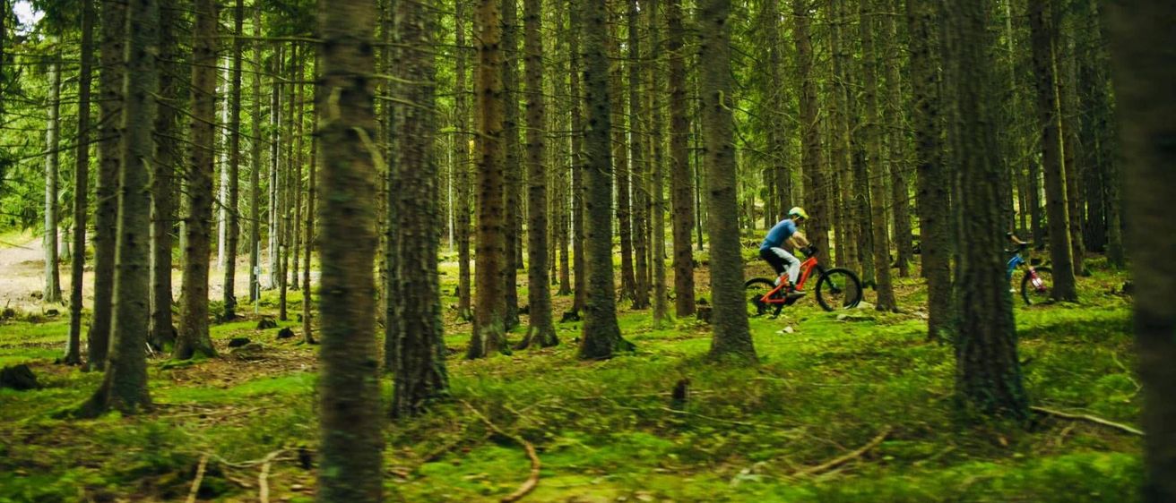 v1_migrated_image_25746553