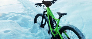 Bild enthält, Bicycle, Mountain Bike, Transportation, Vehicle, Machine, Wheel