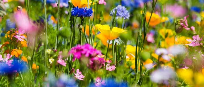 Bildschirmfoto2023-10-19um09.52.46