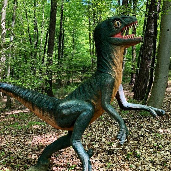 2021-05-05at11.24.050jpeg