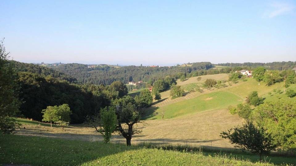 v1_migrated_image_97225858