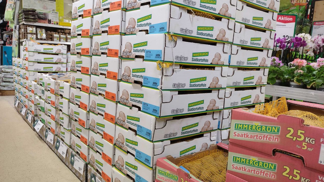 Bild enthält, Box, Shop, Person, Indoors, Market, Flower