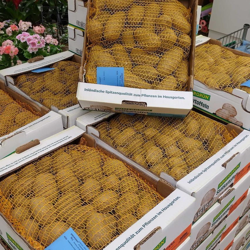 Bild enthält, Shop, Food, Fruit, Produce, Market, First Aid