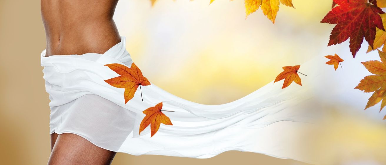 Bild enthält, Leaf, Plant, Tree, Person, Maple Leaf, Maple