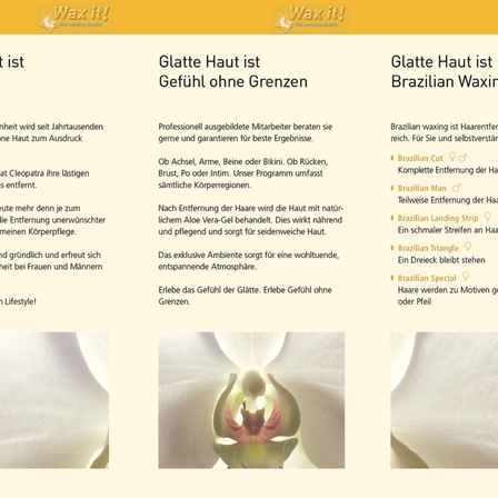 Bild enthält, Text, Flower, Plant, Page, Menu