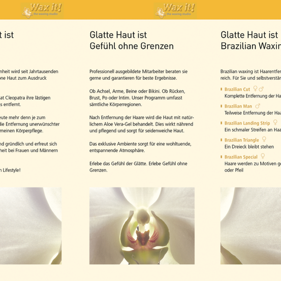 Bild enthält, Text, Flower, Plant, Page, Menu