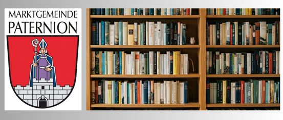 Ein hölzerne Bücherregal gefüllt mit verschiedenen Büchern, darunter Klassiker und zeitgenössische Titel, mit einer Eule auf dem obersten Regal.