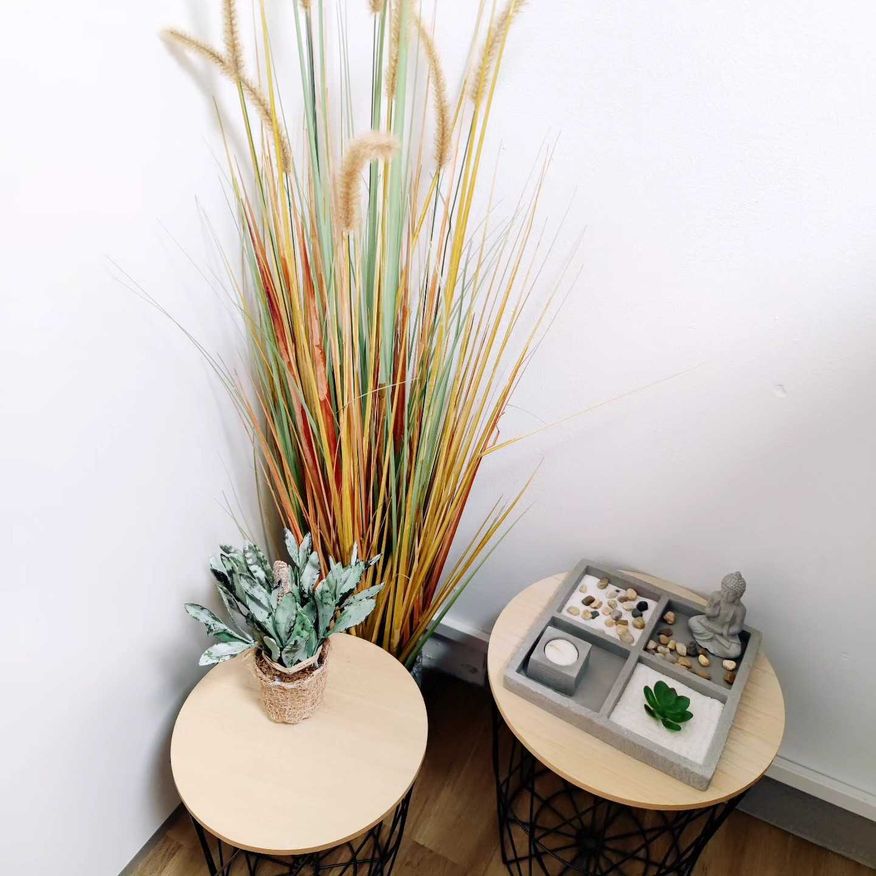 Bild enthält, Furniture, Table, Interior Design, Plant, Tabletop, Person, Coffee Table
