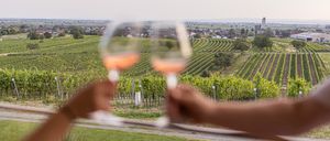 Bild enthält, Nature, Outdoors, Countryside, Rural, Farm, Vineyard, Alcohol, Beverage, Wine Tour, Person