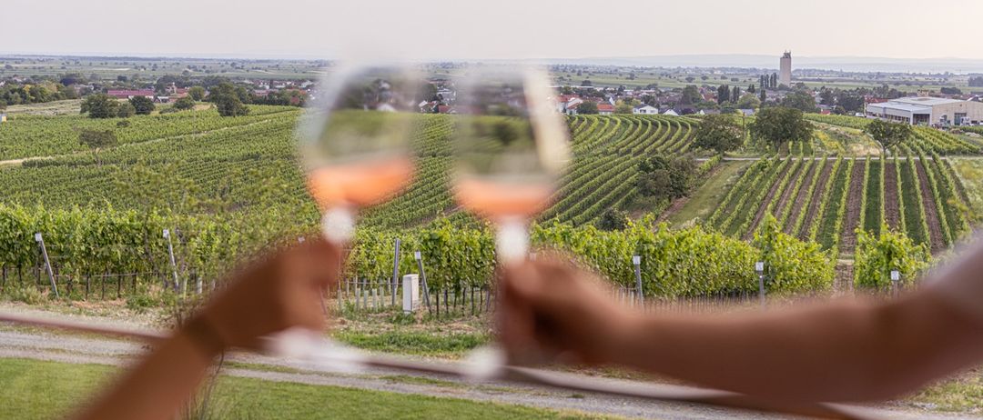 Nature, Outdoors, Countryside, Rural, Farm, Vineyard, Alcohol, Beverage, Wine Tour, Person