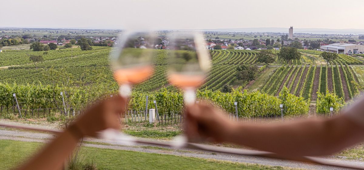 Bild enthält, Nature, Outdoors, Countryside, Rural, Farm, Vineyard, Alcohol, Beverage, Wine Tour, Person